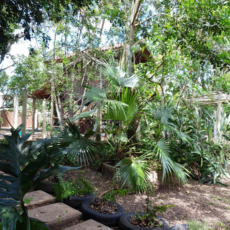 Cantinho Do Ceu - Espaco Ecologico เซาเปโดร ภายนอก รูปภาพ